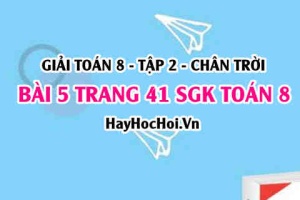 Bài 5 trang 41 Toán 8 Tập 2 Chân trời sáng tạo